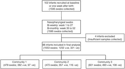 Carriage Dynamics of Pneumococcal Serotypes in Naturally Colonized Infants in a Rural African Setting During the First Year of Life